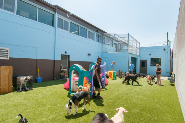 Bark! Doggie Daycare + Hotel + Spa - Mendel & Company Construction